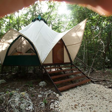 Magical Jungle Eco Cabana -Tulum Hotel Macario Gomez Exterior photo