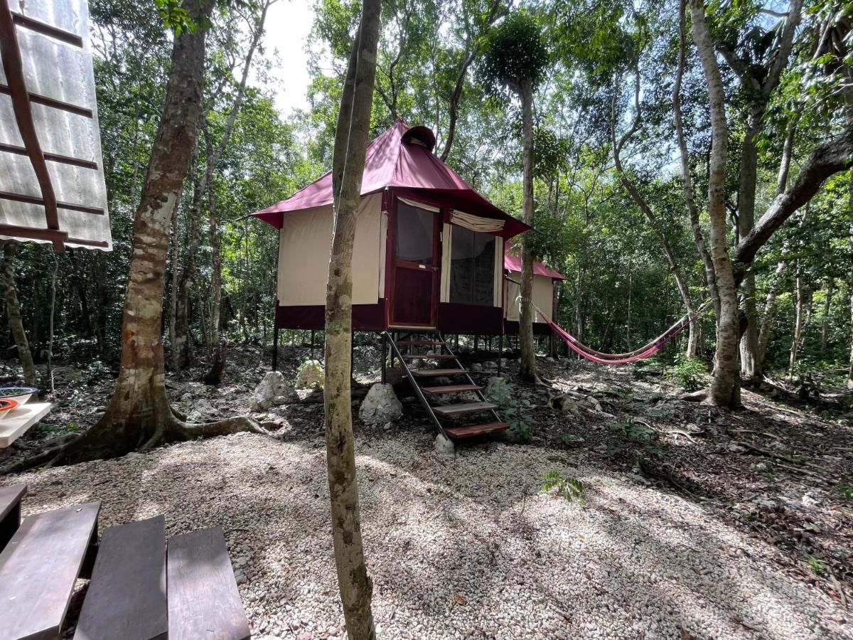 Magical Jungle Eco Cabana -Tulum Hotel Macario Gomez Exterior photo