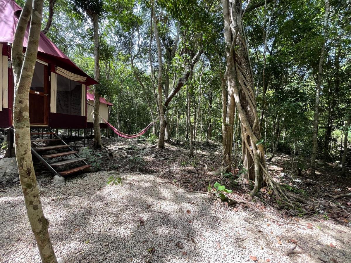 Magical Jungle Eco Cabana -Tulum Hotel Macario Gomez Exterior photo