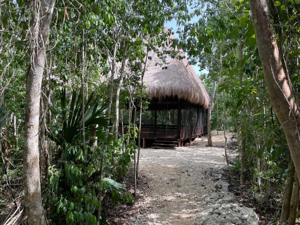 Magical Jungle Eco Cabana -Tulum Hotel Macario Gomez Exterior photo