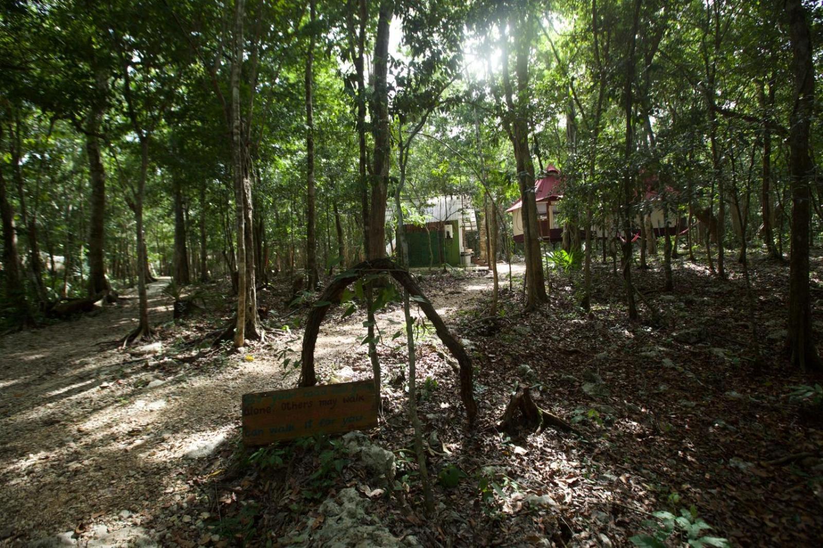 Magical Jungle Eco Cabana -Tulum Hotel Macario Gomez Exterior photo